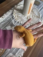 Samice sunglow bel albino