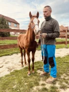 APH PELONIE SHINIG MOON