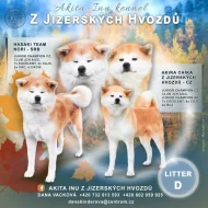 Štěňátka Akita Inu s průkazem původu