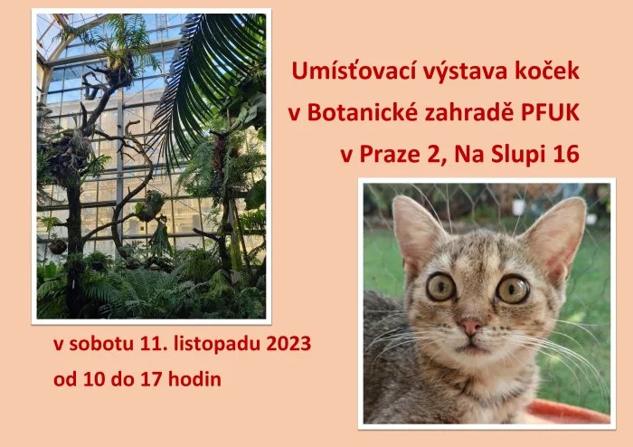 Umísťovací výstava koček v Botanické zahradě v Praze 2