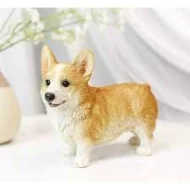 vynikající štěňata pemboke welsh corgi