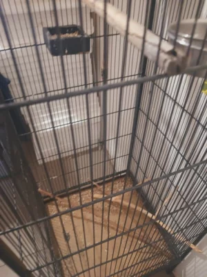 Volierka v super stavu