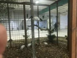 EXOTIKA 2023 Lysá nad Labem