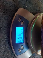 Stigmochelys pardalis