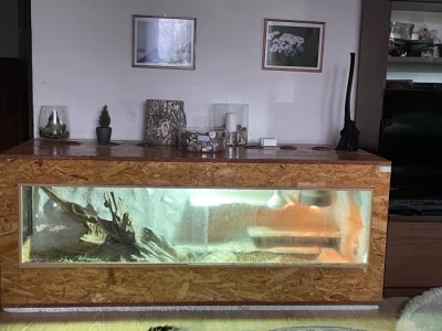 Velké terárium+čuvala zavalitá/kluk