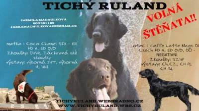 Štěňata chovná stanice Tichý Ruland