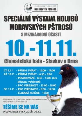 Speciální výstava moravských pštrosů ve Slavkově
