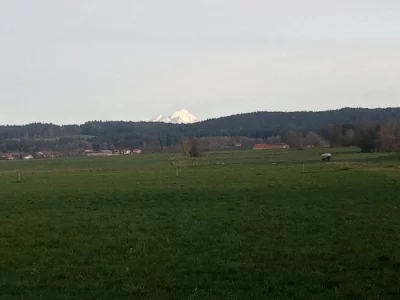 4ha Pastvina k posečení zdarma.