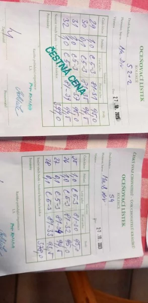 Prodám králíky malé berany divoké