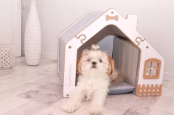 Domeček pro psa s mističkami