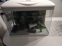 Akvarium