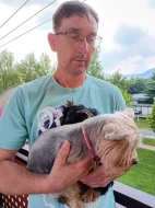 Štěňátka jorkšíra Návsí u Jablunkova