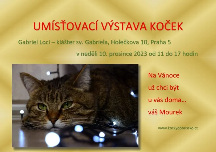UMÍSŤOVACÍ VÝSTAVA KOČEK V KLÁŠTEŘE SV. GABRIELA