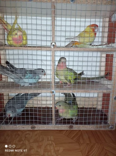 penant