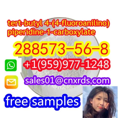 cas:288573-56-8 tert-b utyl 4-(4-fluoroani lino)piperidine-1-carboxy late