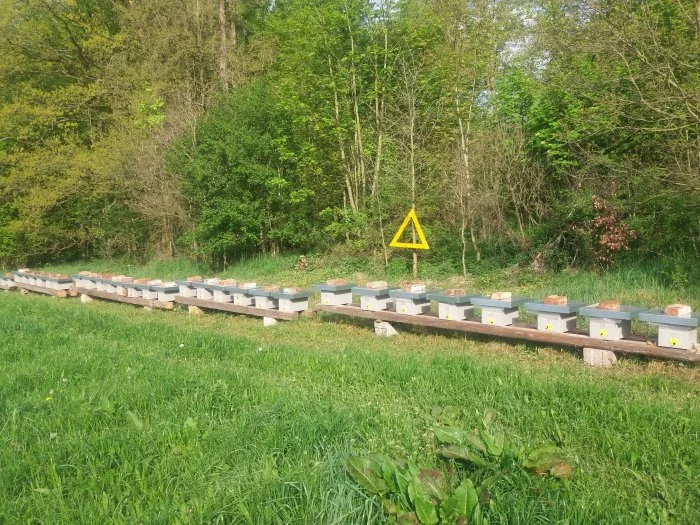 VYZIMOVANÉ ODDĚLKY 2024