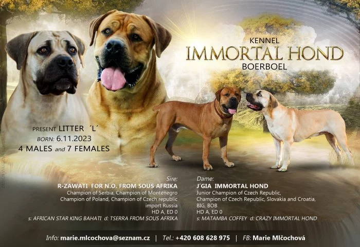 Boerboel
