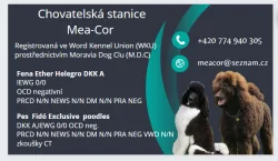 Pudl velký královský