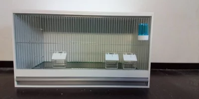 Levné bednové klece