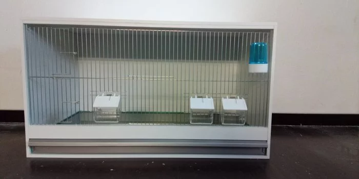 Levné bednové klece