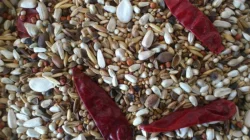 DOPRAVA ZDARMA PŘI OBJEDNÁVCE NAD 1500,-