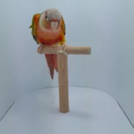 Prodám pyrury zelenolící