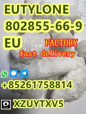 EU EUTY LONE safe del ivery factory sup ply sample test