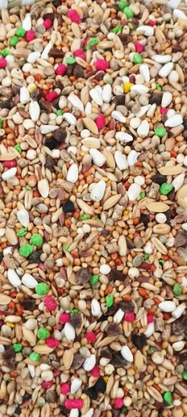 Kladno 7.1.2024 přijímáme objednávky.