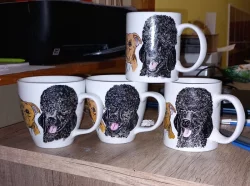 Malované podle fotografie