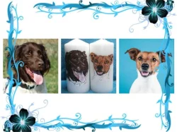 Malované podle fotografie