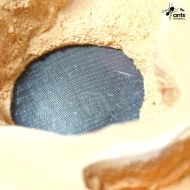 Mravenčí farma / formikárium