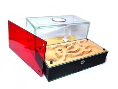 Mravenčí farma / formikárium