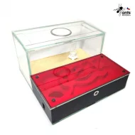 Mravenčí farma / formikárium