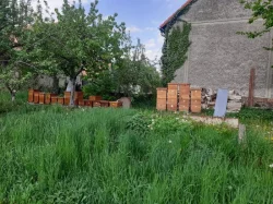Včelí oddělky 2024