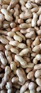Přerov 14.1.2024 přijímáme objednávky.