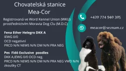 pudl velký /královský/