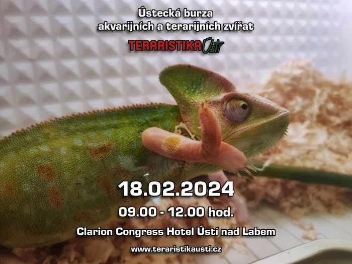 Ústecká burza terarijních zvířat 18.02.2024