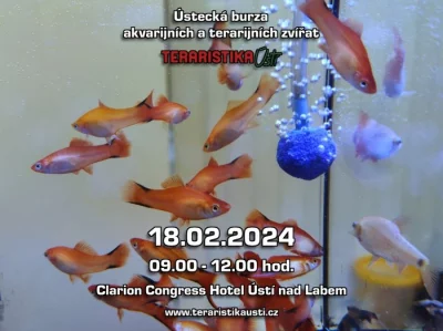Ústecká burza akvarijních zvířat 18.02.2024