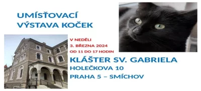 Umísťovací výstava koček v klášteře sv. Gabriela v Praze 5 Smíchov
