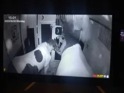 Přeprava koní ČR a EU - Nonstop