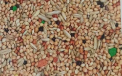 Přerov 11.2.2024 přijímáme objednávky.