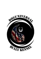 American Bully XL