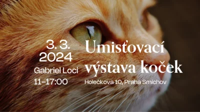 Umísťovací výstava koček v Praze 5 Smíchov