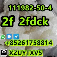 2F 2FD CK 111982-50-4 safe deliv ery bes t price