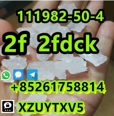 2F 2FD CK 111982-50-4 safe deliv ery bes t price