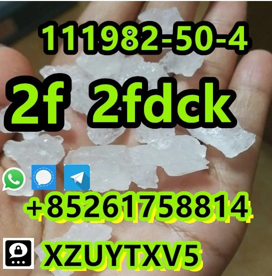 2F 2FD CK 111982-50-4 safe deliv ery bes t price