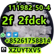 2F 2FD CK 111982-50-4 safe deliv ery bes t price