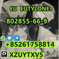 EU  EU TYLONE  802 855-66-9 high quality