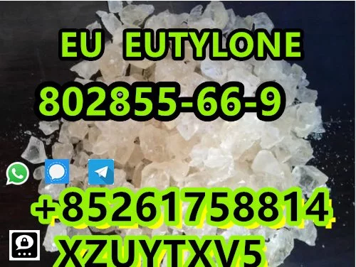 EU  EU TYLONE  802 855-66-9 high quality