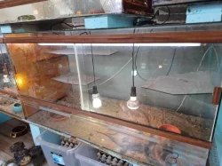 velke terarium 130x70x60cm